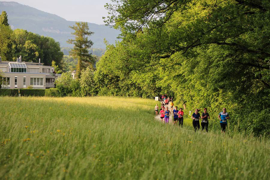 Folien-Bild