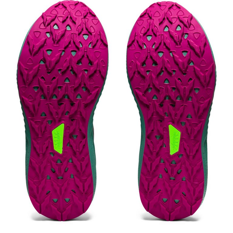 ASICS FUJI LITE 2 Lady (Kopie)